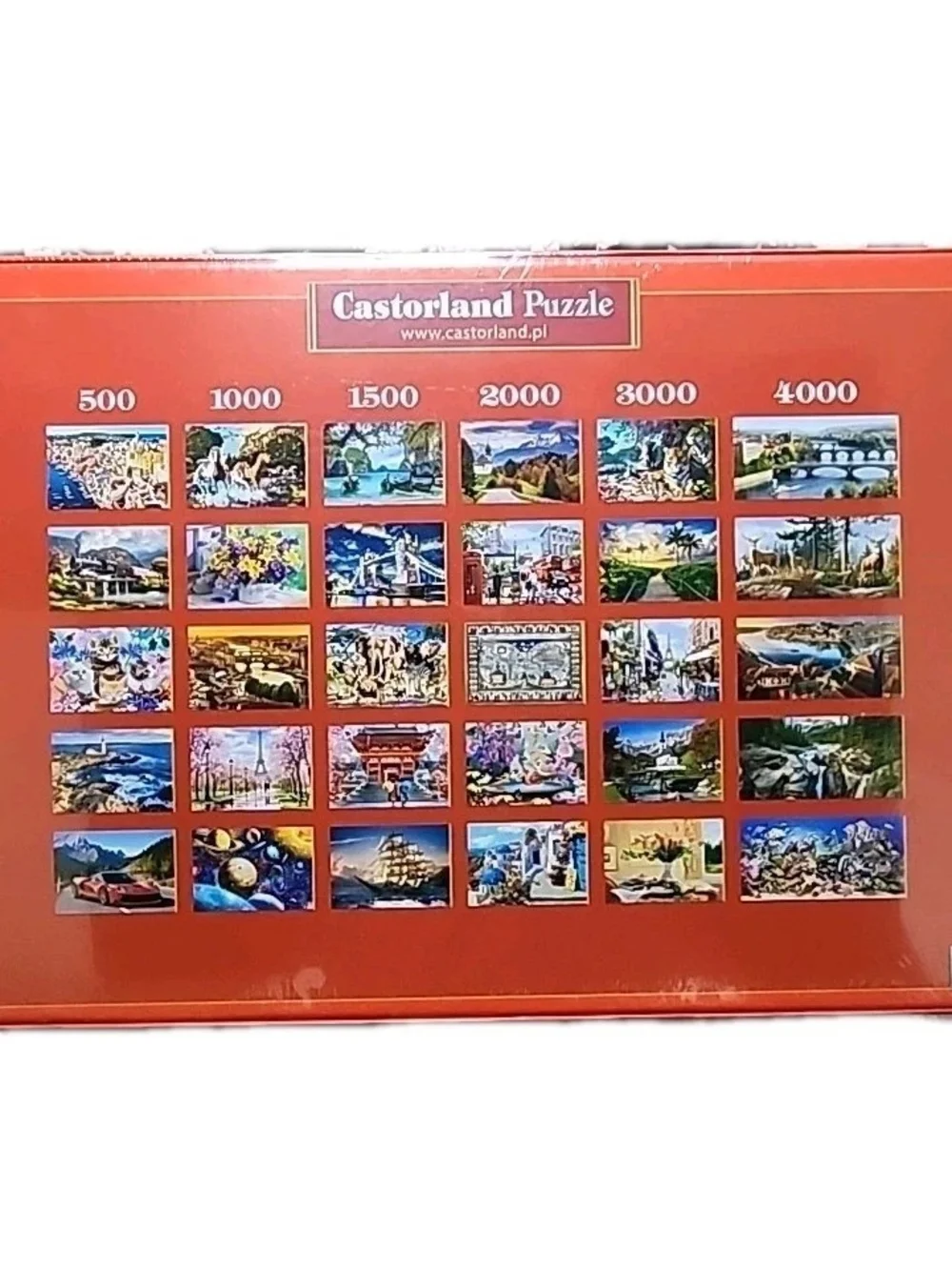 Castorland Puzzle June Flowers In Radiance - 1000 pieces